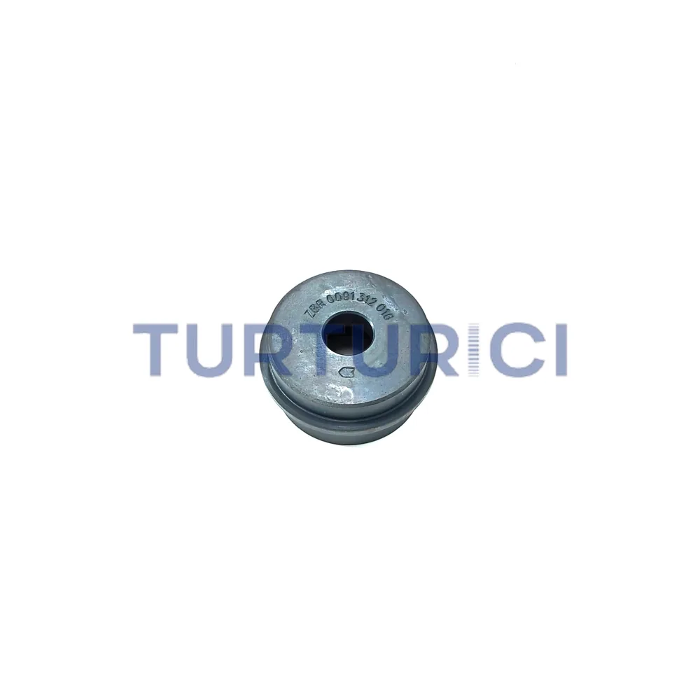 EMBOLO 16S1650 ZF