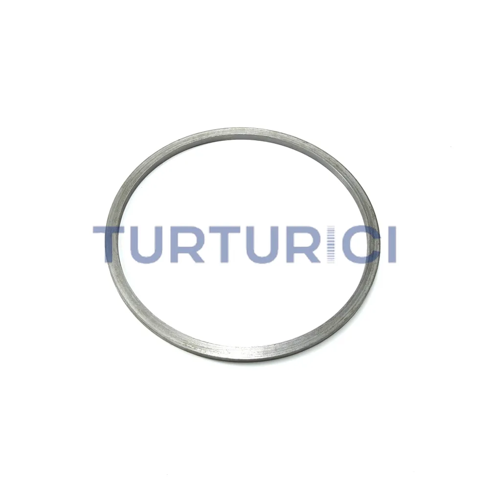 ANILLO DE SEGURIDAD 4.60 ZF