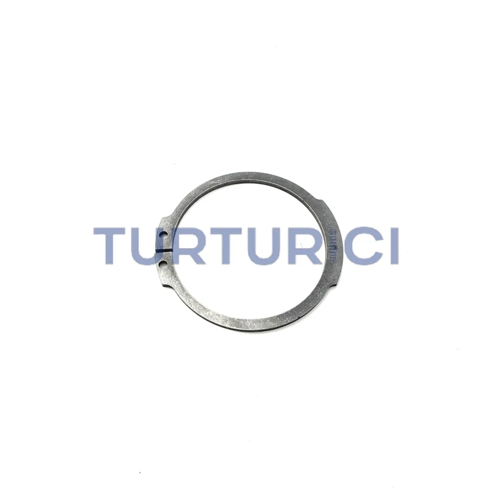 ANILLO DE SEGURIDAD ZF