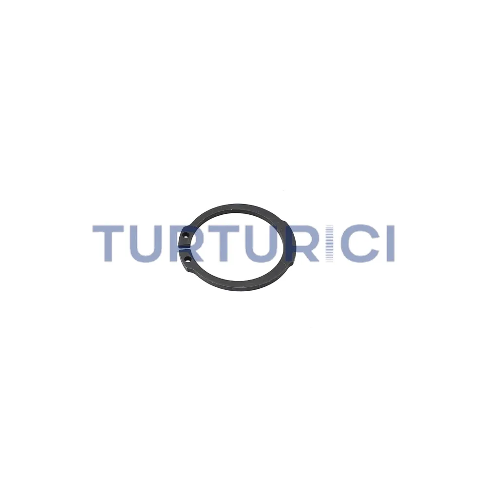 SEGURO PUNTA EJE ACANALADO ZF S5-420 EURORICAMBI