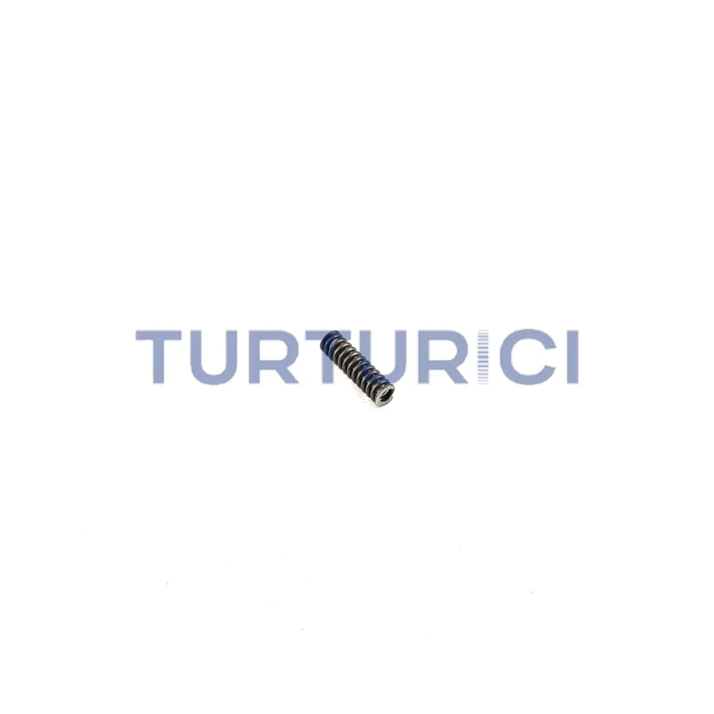 RESORTE EURORICAMBI