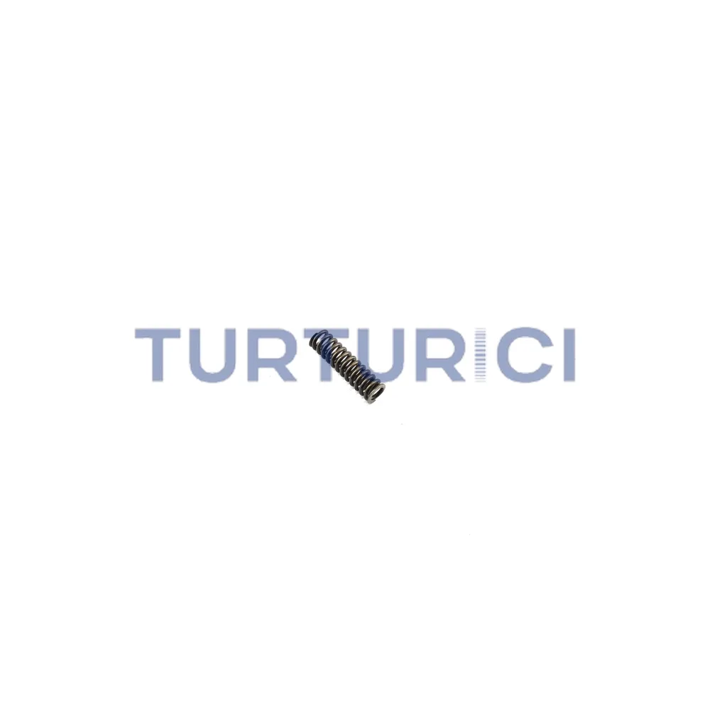 RESORTE EURORICAMBI