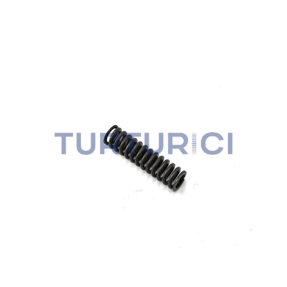 RESORTE DEL PASADOR BLOQUEADOR 16S-1650 ZF