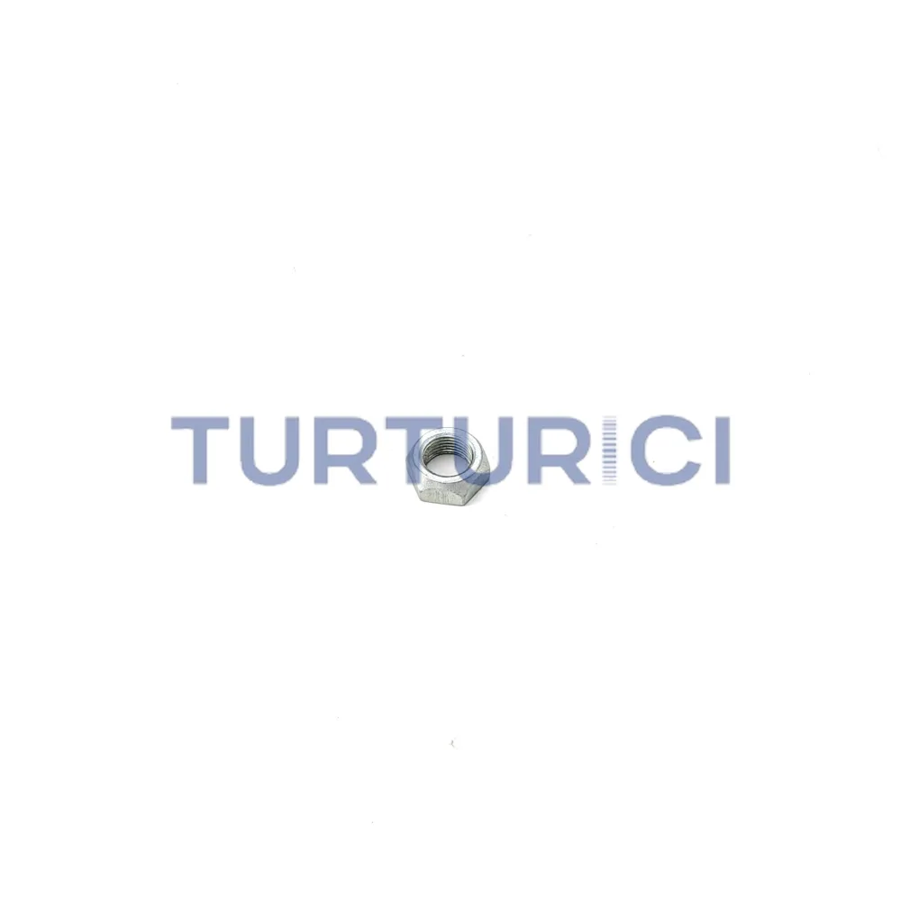 TUERCA HORQUILLA SELECTORA ZF