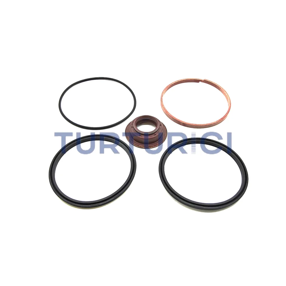 JGO REP. TRASERO CAMBIO DE CAJA ZF