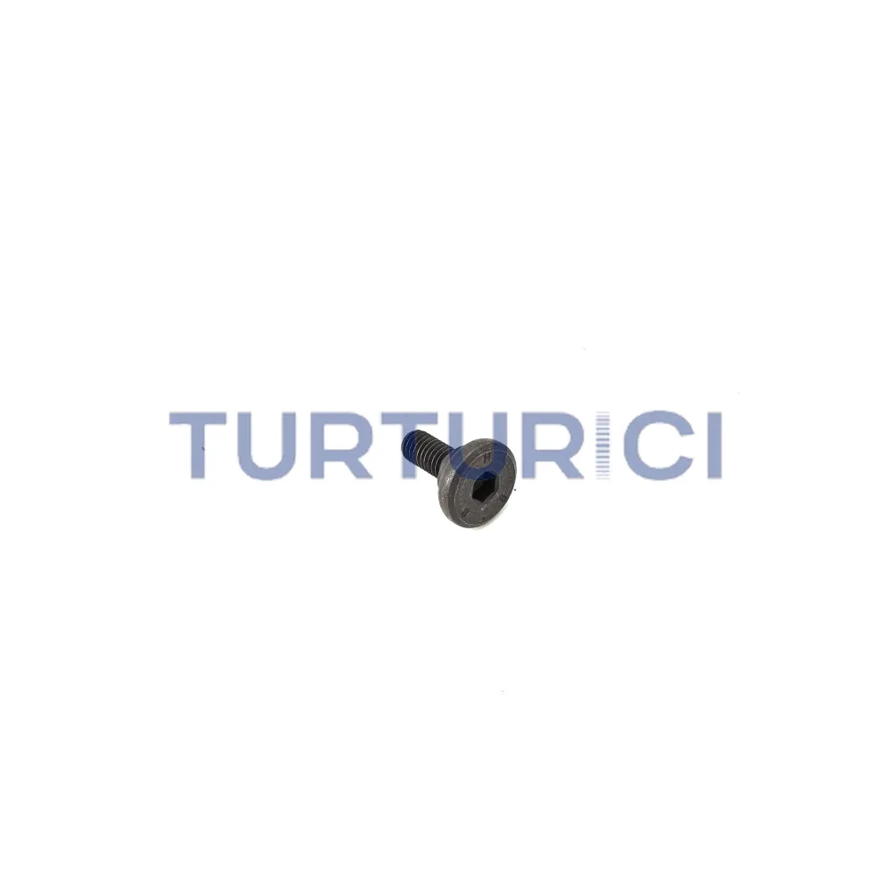 TORNILLO S5-420 ZF