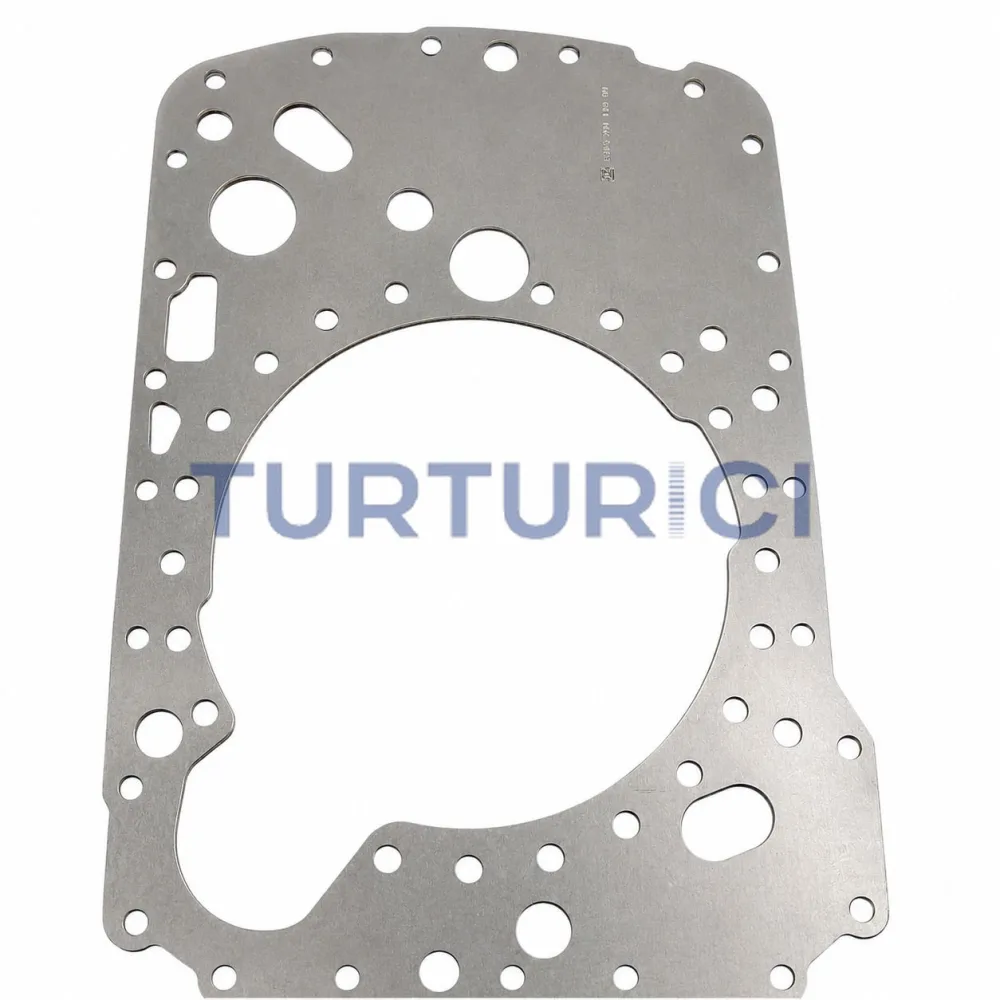 PLACA INTERMEDIA ZF