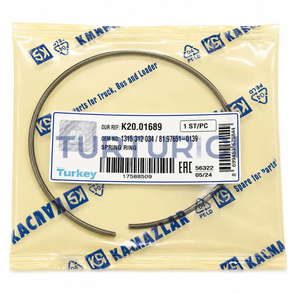 MUELLE ZF
