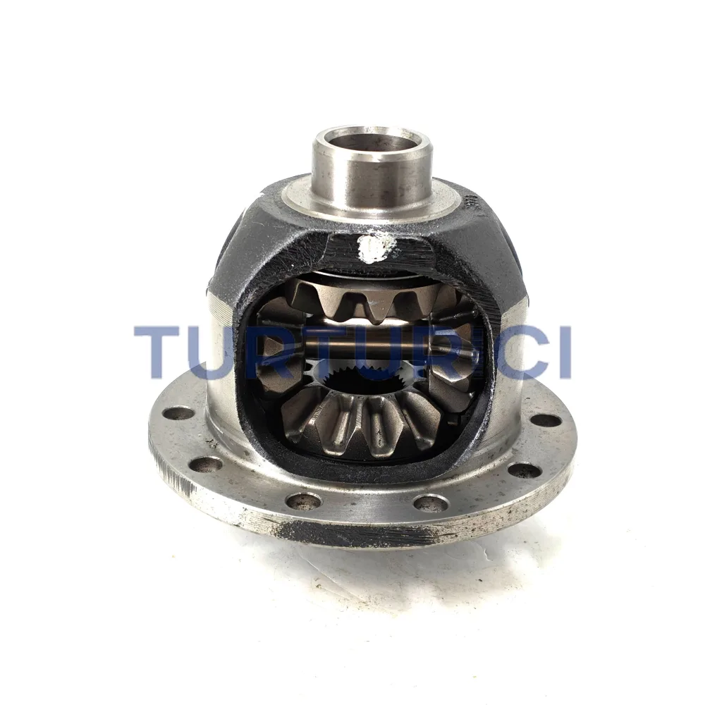 PORTACORONA COMPLETO SPICER DANA 207-REL 4.10/4.56